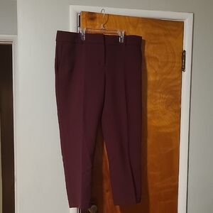 Ann Taylor Deep Plum Ankle Pants